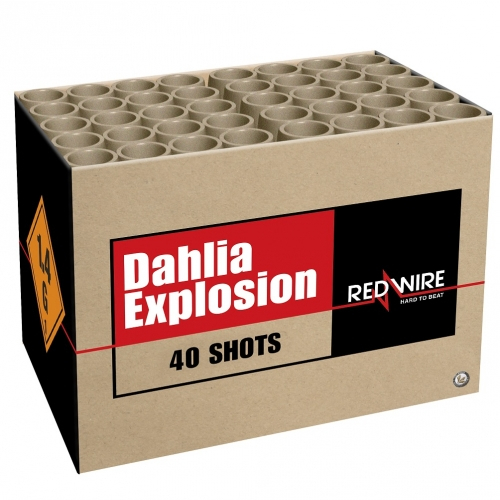 Dahlia Explosion 40 Schuss  Bild 7