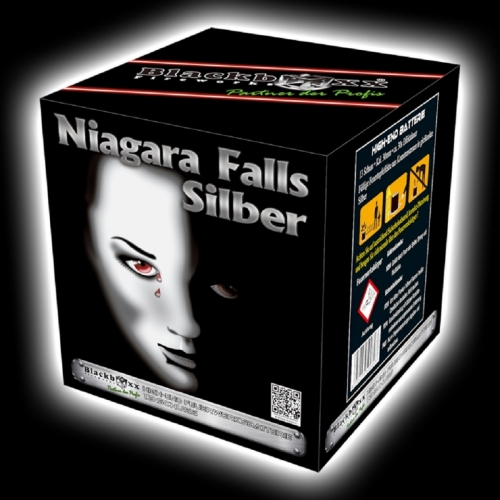 Niagara Falls Silber 13 Schuss Bild 7