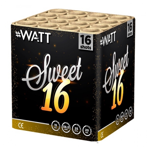 #WATT Sweet 16 Bild 7