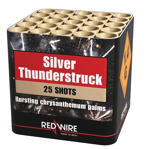 Silver Thunderstruck 25 Schuss Bild 7